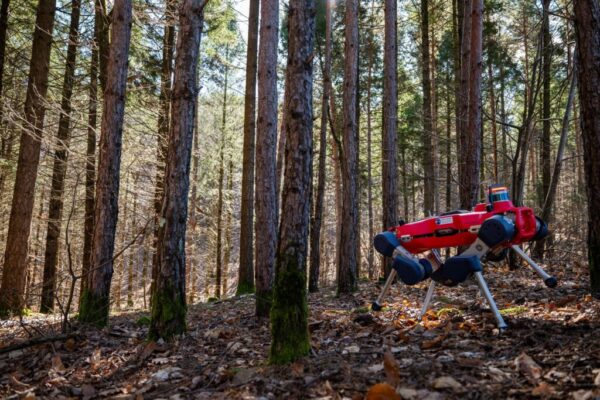Foreste hi-tech: robot e IA per una gestione sostenibile